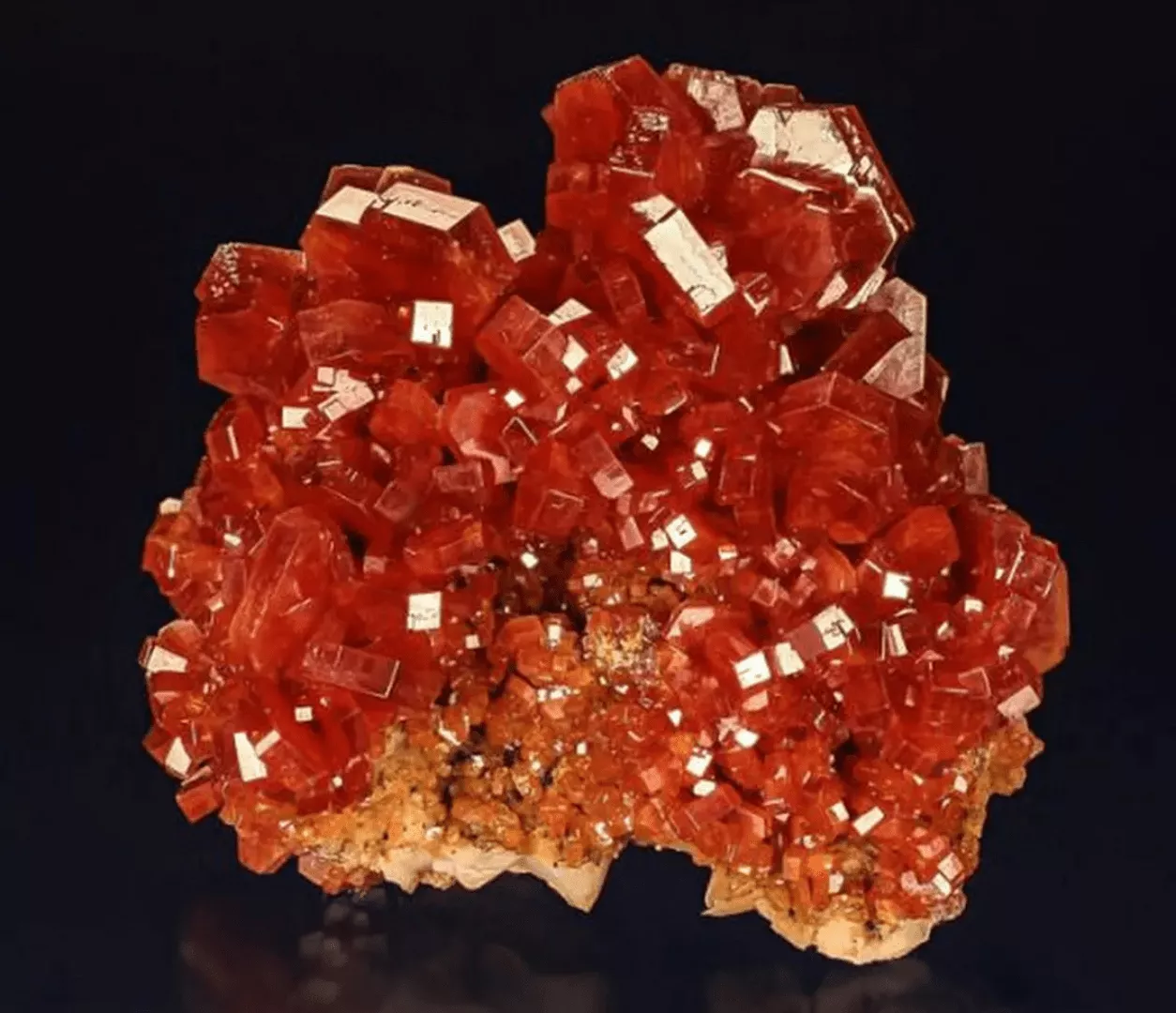 Mineral Gemstone Selenite Fossil Ammonite