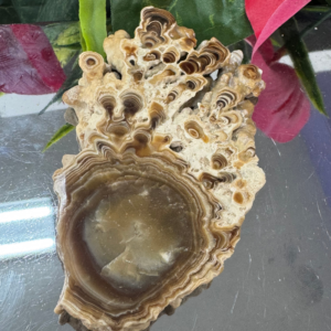 BROWN CALCITE – The Stone of Grounding & Transformation