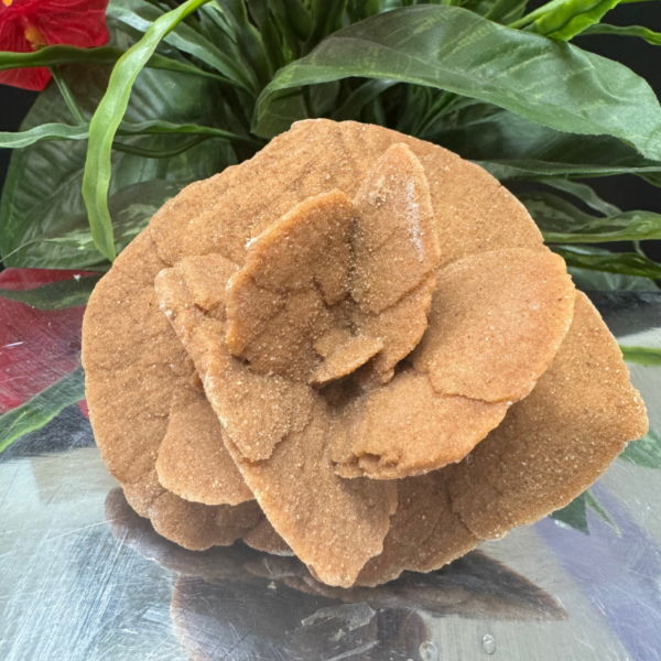 DESERT ROSE – The Flower Formed by the Desert Winds
