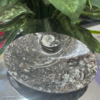 ORTHOCERAS FOSSIL BOWL – The Legacy of the Ancient Ocean
