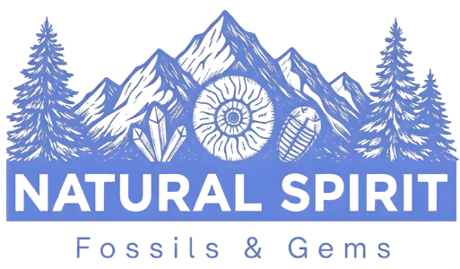 Natural Spirit Fossils & Gems